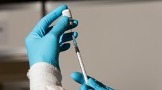 Pfizer vs Moderna: Belgická štúdia ukázala, ktorá vakcína produkuje viac protilátok