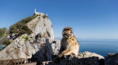 Španielsko to s blokovaním brexitu myslí vážne, problémom je Gibraltár