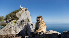 Španielsko to s blokovaním brexitu myslí vážne, problémom je Gibraltár