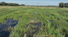 Pavelské slanisko: Miesto, kde sa stretáva história s krásou prírody