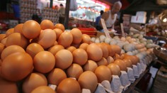 Koniec slovenských producentov vajec? Vytláčajú ich Poliaci