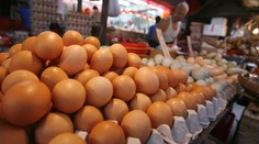 Tesco prichádza so zásadnou zmenou pri predaji vajec
