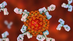 Českí vedci otestovali novú protilátku, ktorá koronavírusu zabráni, aby mutoval