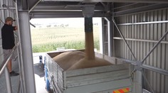 Zvyšovanie cien, aké sme ešte nezažili. Po pečive zrejme vystrelia nahor aj ceny mäsa