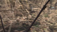 Hra s ohňom sa skončila tragédiou. Tri deti z Bukoviec utrpeli popáleniny, dievča je v kritickom stave