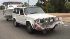 Rybár pobúril internet. Obrovský úlovok si pripevnil na auto