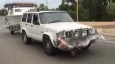 Rybár pobúril internet. Obrovský úlovok si pripevnil na auto