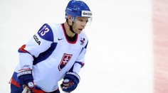 Bol súčasťou zlatej generácie slovenského hokeja. Ľuboš Bartečko sa usadil v USA, kde si plní sny