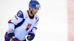 Bol súčasťou zlatej generácie slovenského hokeja. Ľuboš Bartečko sa usadil v USA, kde si plní sny