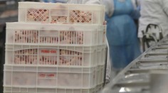 V stravovacej prevádzke v trenčianskom kraji našli brazílske mäso od podozrivého výrobcu