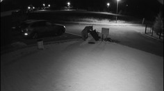 Medvede úradujú v podtatranských oblastiach. Maškrty si hľadajú v miestnych kontajneroch