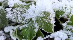 Niektoré časti Slovenska potrápia nebezpečne nízke teploty, klesnúť môžu až na -16 stupňov