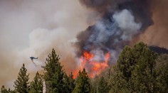 Pre extrémne sucho hrozia požiare. Po Košiciach zakázali vstup do lesov aj v okrese Nové Zámky