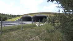 Na Slovensku pribudol tretí zelený most, pomôže zvieratám pri migrácii