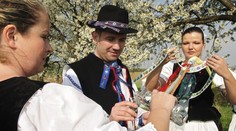 Každý rok zomrú na otravu alkoholom desiatky mladých ľudí