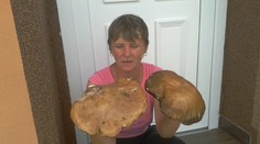 Hubár z Hodejovca sa pochválil mega hríbmi