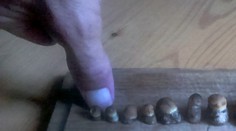 Najmenší hubársky úlovok na Slovensku