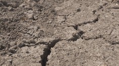 Strednú Európu a Balkán pustoší extrémne sucho. Situácia je vážna a mení sa na krízu