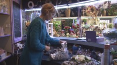 Predajne zaplavil dušičkový tovar. Zisťovali sme, o ktoré dekorácie je najväčší záujem