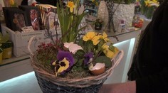 Rýchla zeleninová polievka s ružičkovým kelom