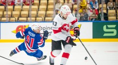 Vlani získali striebro v nelegálnych dresoch. Švajčiari museli pred MS v hokeji riešiť netradičný problém