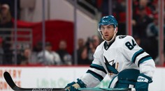 Skúsený český obranca uzavrel zámorskú kapitolu. Z NHL sa sťahuje do švajčiarskeho veľkoklubu