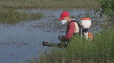 Proti komárom nasadili drony. Bratislava začala s biologickým postrekom