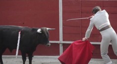 Detský zabijak pobúril internet. Na videu chladnokrvne bodá býka