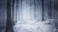 Pátranie pri Novej Bani sa skončilo: Dve mladé ženy už našli