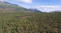 S kamerou sme sa pozreli ako rastú Tatry vyše 12 rokov po kalamite