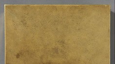 Harvard odhalil vyše 100 rokov staré tajomstvo