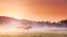 Dr. Iľko predpovedá na budúci týždeň 15 stupňov