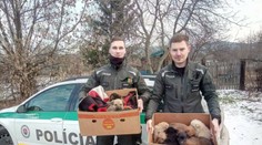 Našli ich mrznúce a pohodené na smetisku, košickí policajti zachránili 11 šteniatok