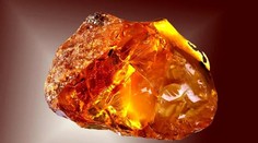 FOTO: Roky používala kameň z potoka ako zarážku dverí. Žena netušila, že ide o mimoriadne cenný klenot