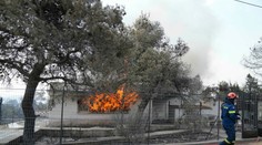 Gréci ešte nemajú vyhraté. Sužuje ich požiar borovicových lesov