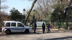 V parížskom parku našli ďalšie časti ľudského tela vrátane hlavy