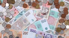 Hodnotu českej meny bude znovu určovať  ponuka a dopyt