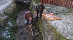 Aj zabíjačka má svoje oficiálne pravidlá. Hygienici radia, na čo máte nárok a dokonca zadarmo