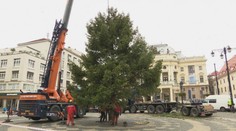 Bratislava už má postavený svoj vianočný stromček. Je za ním rodinný príbeh