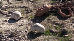 V Sindžáre našli po vyhnaní islamistov 16 masových hrobov