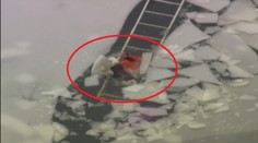 Dramatická záchranná akcia: Malý pes sa prepadol pod ľad