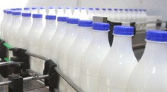 Mliekáreň dostala desaťmiliónovú pokutu: Dohodami s reťazcami ryžovali na zákazníkoch