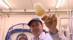 Boli sme v závode, kde sajder vyrábajú pre celý svet