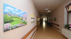 Nahrávka, ktorá rozhnevala pacientov. V nemocnici mali pri zákrokoch postupovať mimoriadne nechutne