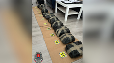 Dvaja Moldavci mali u nás kradnúť navigácie z traktorov. Spôsobili takmer štvrťmiliónovú škodu