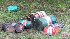 Zverstvo uprostred lesoparku: Niekto tam vyhodil barely plné toxického odpadu