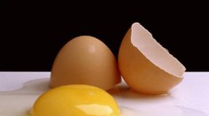 Daňováci vyšetrujú výrobcu biovajec, nitky siahajú aj na Slovensko