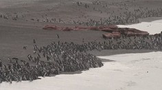 Na tieto zábery čakali vedci celý rok