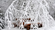 Predpoveď počasia: Pripravte sa na ďalší prídel snehu