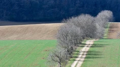 Pripravte sa na poriadne chladný víkend. Potom však teploty šialene vystrelia